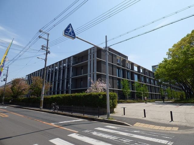 大学