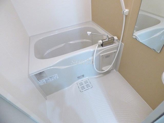 バス