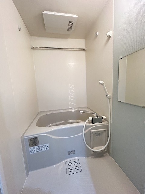 バス